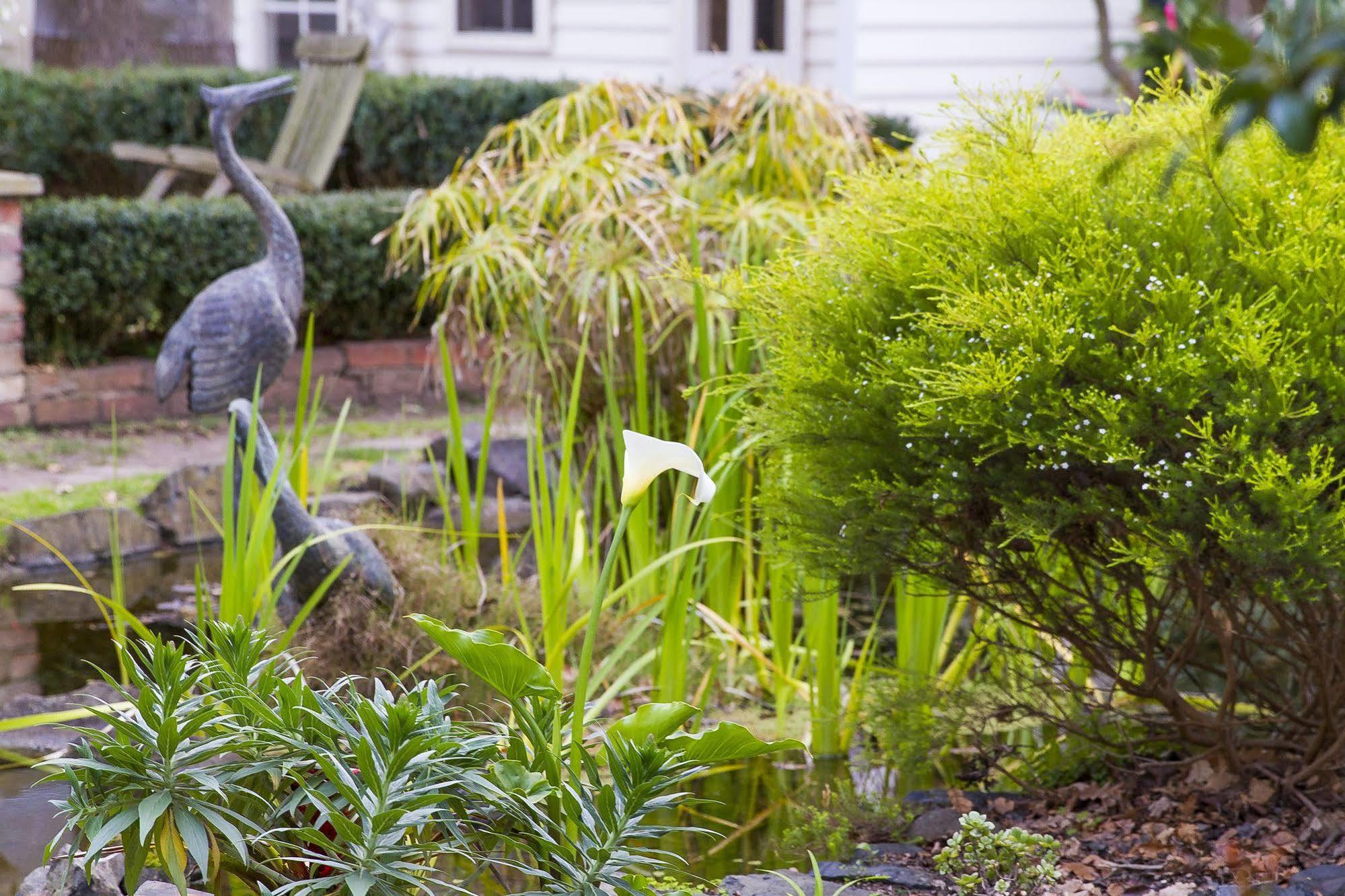 Glen Isla House Bed & Breakfast Phillip Island Cowes Bagian luar foto